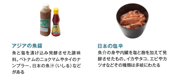 AWA̋݁E{̉h