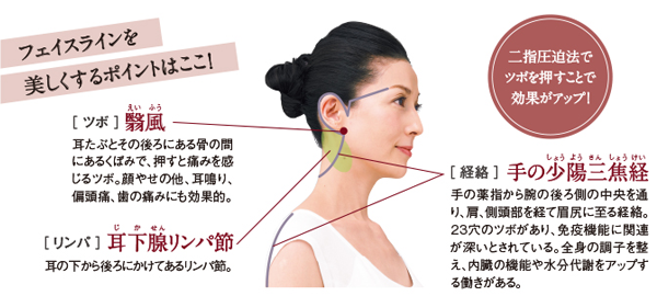 ̏zOŌo