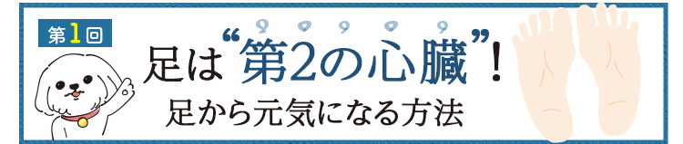 vol01.���͑�2�̐S���I