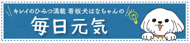 �������C 