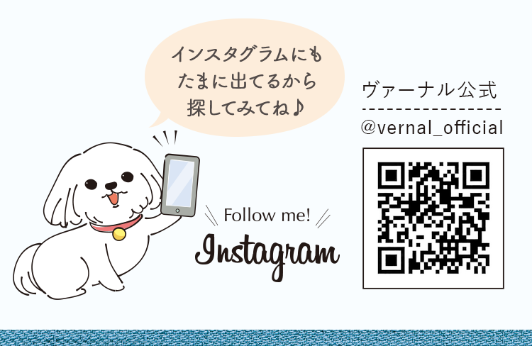 インスタグラム