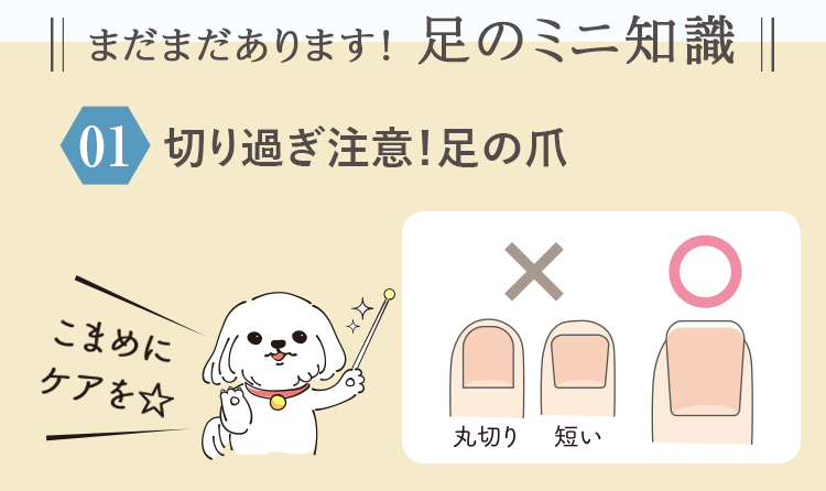 切り過ぎ注意!足の爪