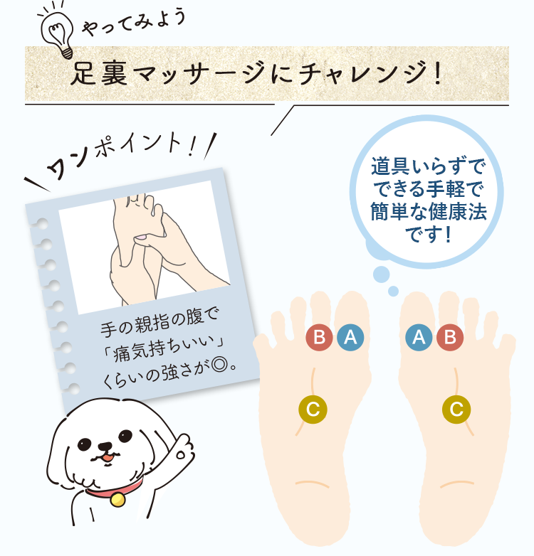 足裏マッサージにチャレンジ!