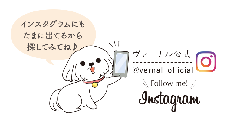 インスタグラム