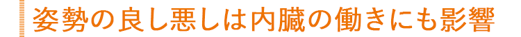 “第2の心臓”と呼ばれるのはなぜ?