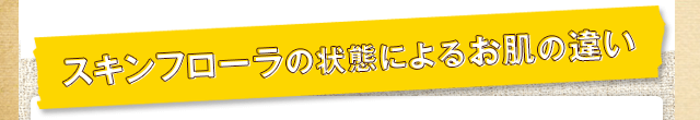 スキンフローラの状態によるお肌の違い